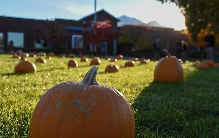 (Francisco Kjolseth  |  The Salt Lake Tribune)  A pumpkin patch is set up for students at Jordan Valley School in Midvale, Canyon District's school for students with severe disabilities, allowing them an opportunity to pick out their own pumpkin, an opportunity they look forward to on Wed. Oct. 24, 2018. Inmates who take part in the Green Thumb Nursery program at the Utah State prison grew and harvested the pumpkins that were donated to the school for the 10th year.