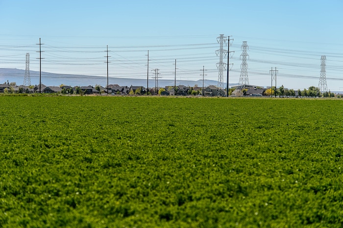 Trent Nelson | The Salt Lake Tribune
Undeveloped property owned by Senate Majority Whip Stuart Adams in Layton along the proposed route of the West Davis Corridor, Thursday May 4, 2017.
