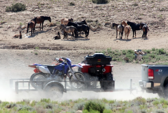Photo courtesy of Laurie Kline
Individuals on ATV's and motorcycles, some with Emery County Search and Rescue shirts and trailers, were alleged by a citizen to have been involved in hazing about 80 wild horses in the McCay Flats area of the San Rafael Swell July 9. The sheriff's department said the volunteers were in the vicinity for an unrelated reason.
