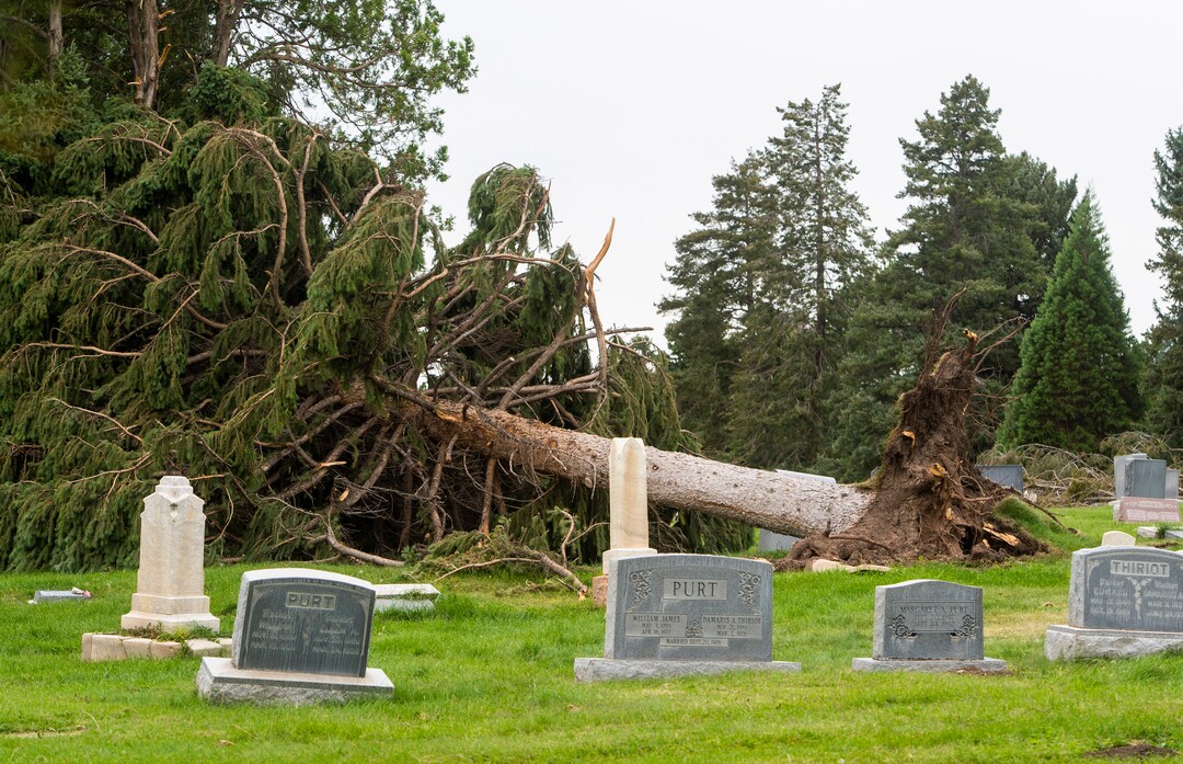 (Rick Egan  |  The Salt Lake Tribune)    Hundreds of headstones in the Salt Lake City Cemetery were damages in the recent wind storm, Friday, Sept. 18, 2020.
