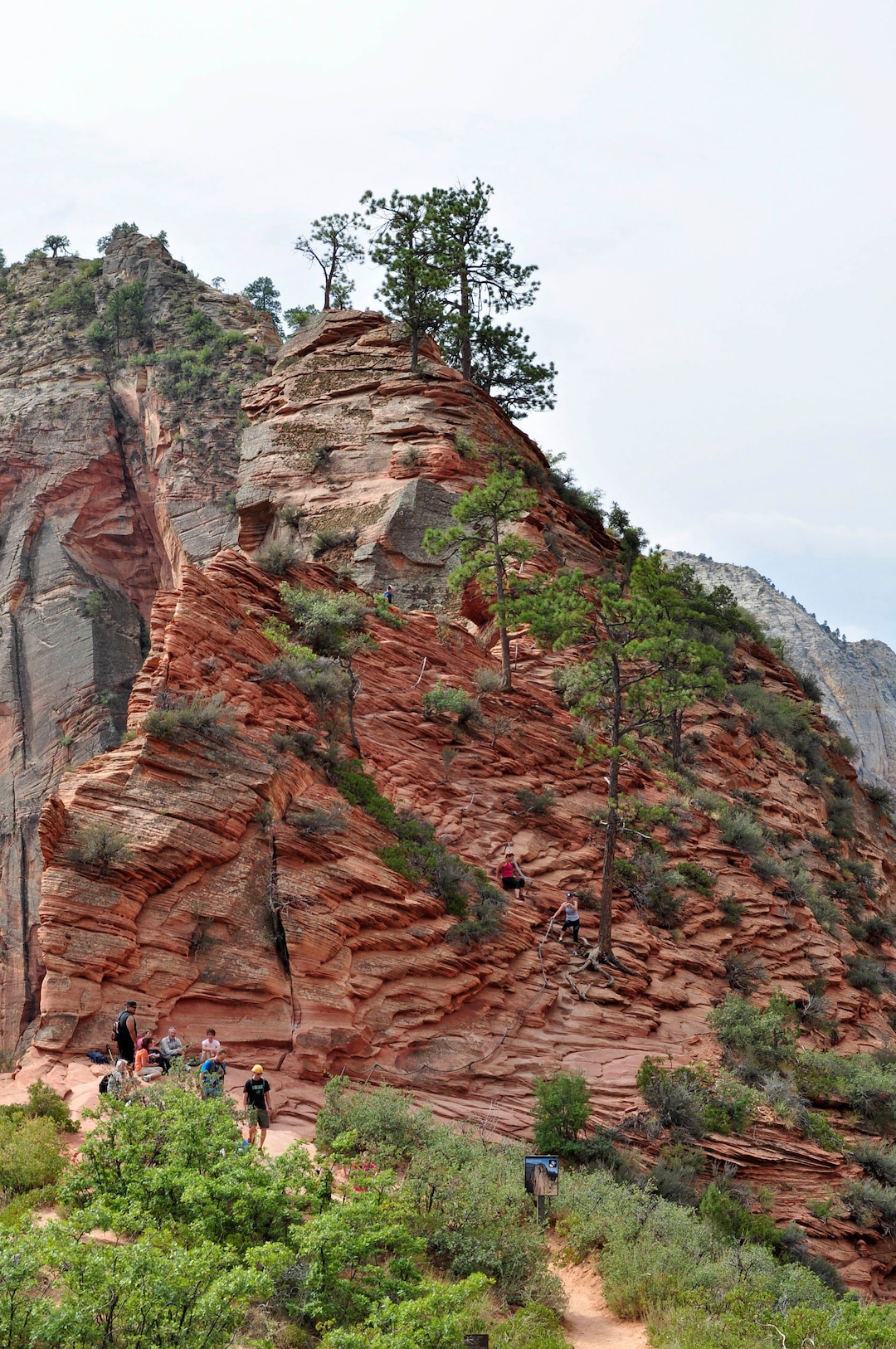 Erin Alberty  |  The Salt Lake TribuneHikers approach the knife-edge ridge that leads to Angels Landing.