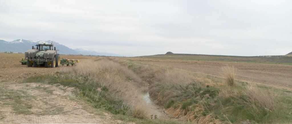 (Erin Cox | FOX 13) A Utah farmer is using a different planting technique to help preserve as much soil moisture as possible.