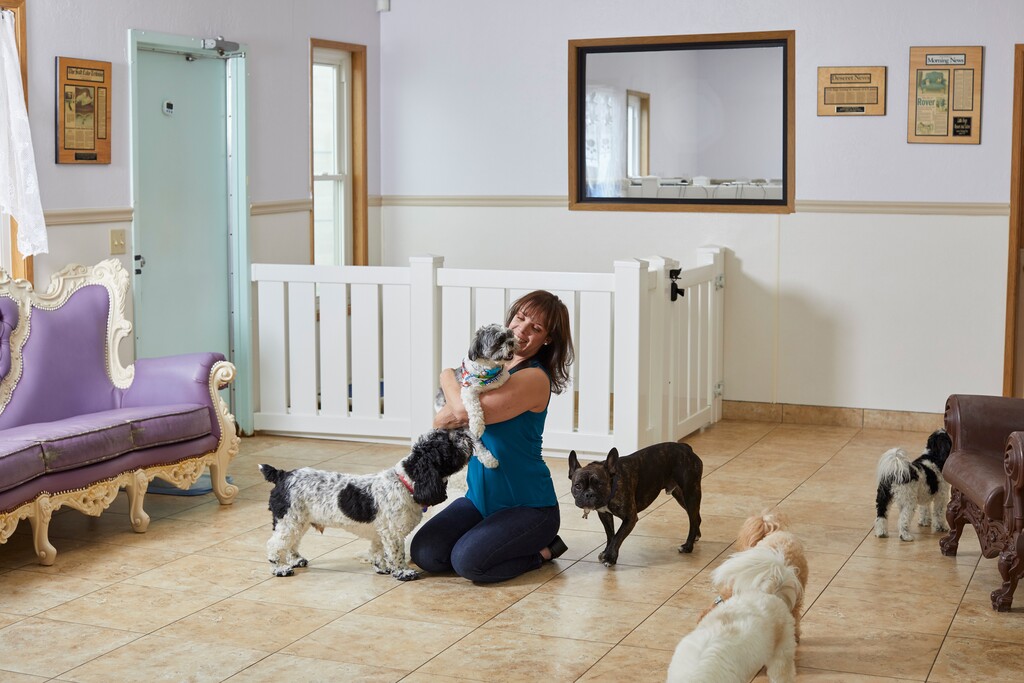 (Lindsay D'Addato | The New York Times) Jennifer McMurrough, owner of Little Dogs Resort in Salt Lake City, May 26, 2020. McMurrough had nine full-time employees (one quit because of the pandemic) and some part-time help, but a loan through the federal government's Paycheck Protection Program helped her keep paying her workers, who are still caring for Little Dogs Resort's handful of canine clients, but she's frustrated by the program's shifting rules and complicated terms.