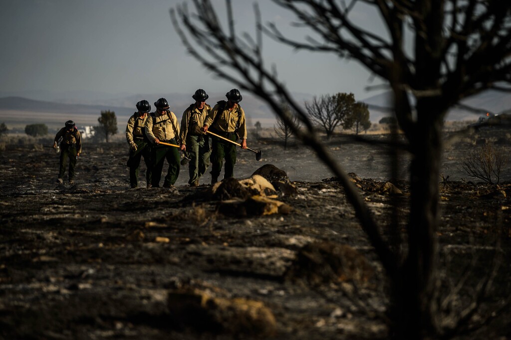 (Trent Nelson  |  The Salt Lake Tribune) Crews search for hot spots after a fire in Cedar Fort on Wednesday, Aug. 12, 2020.