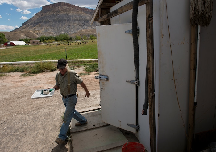 (Leah Hogsten  |  The Salt Lake Tribune) Mesa Farm owner Randy Ramsley prepares to seal a cold box of cheeses for shipment to sell at Tony Caputo's Market in Salt Lake City.  Ramsley makes a variety of goats milk cheeses and yogurt that he makes and sells at his farm's storefront on Highway 24, east of Capitol Reef.