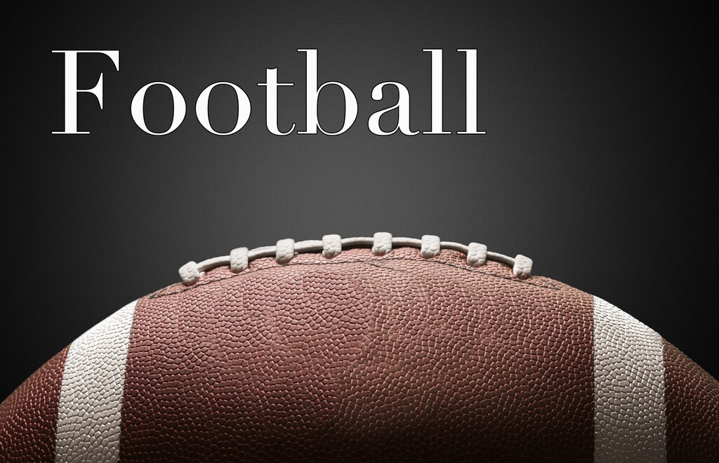 Prep football: Woods Cross Wildcats preview