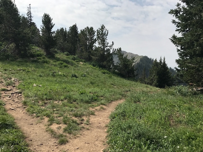 (Nate Carlisle | The Salt Lake Tribune) A fork in the trail on Guardsman Pass allows hikers to turn left and go to Peak 10,420 or right to Luckawaxen Lake.