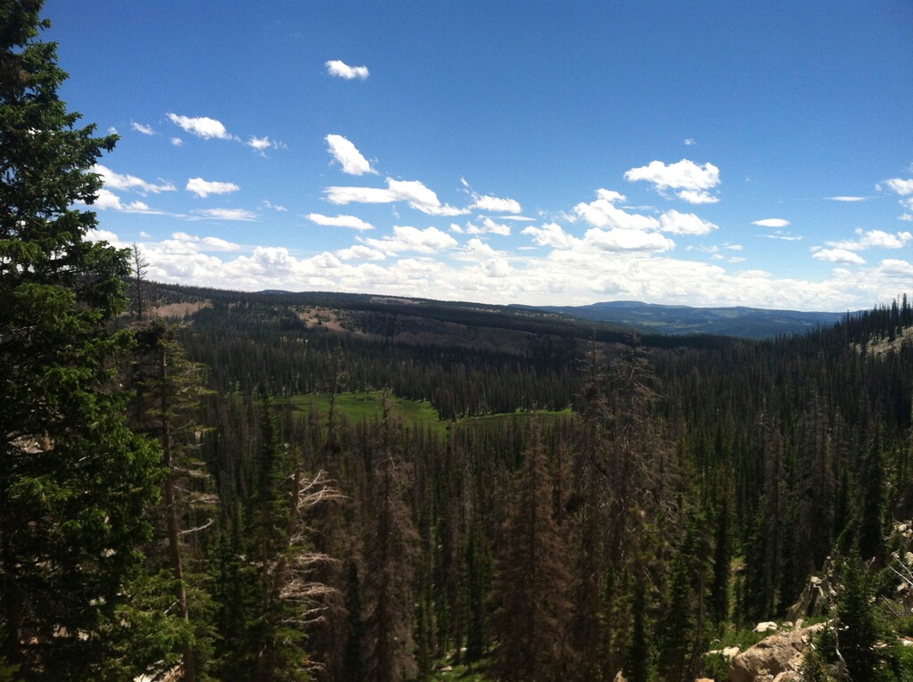 (Nate Carlisle  |  Salt Lake Tribune) Big Elk Lake, as seen on July 13, 2015, sits at the end of a 1.75 mile trail in the Uinta Mountains in Summit County. Summit County is one of five counties in Utah that has had a report of Lyme disease.