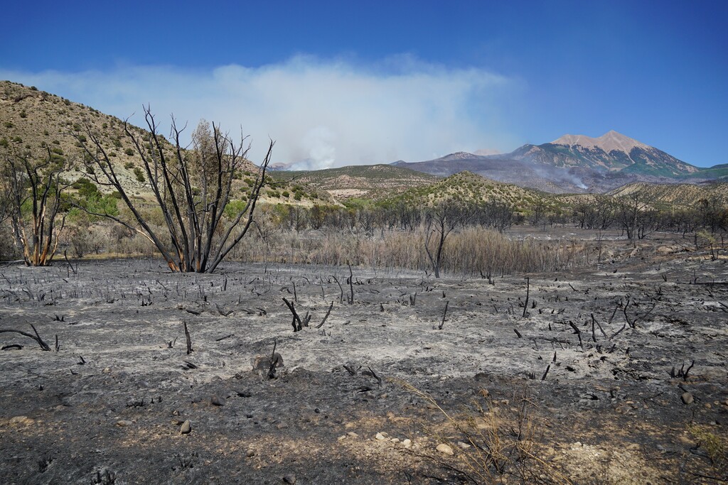 (Zak Podmore | The Salt Lake Tribune) The Pack Creek Fire started on June 9 from an unattended campfire and burned over 8,000 acres in the first week. An example of the extreme effects of climate change is highlighted in the U.N. report.
