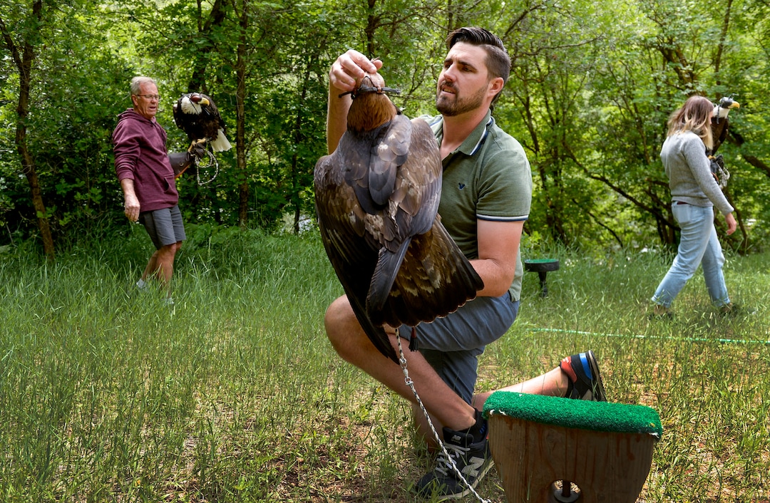 (Leah Hogsten  |  The Salt Lake Tribune) "World of Flight Bird Show" founder Steve Chindgren and fellow falconers Nicholas Harris and Chindgren's daughter, Jena Beckstead, fly Chindgren's birds, June 17, 2020.