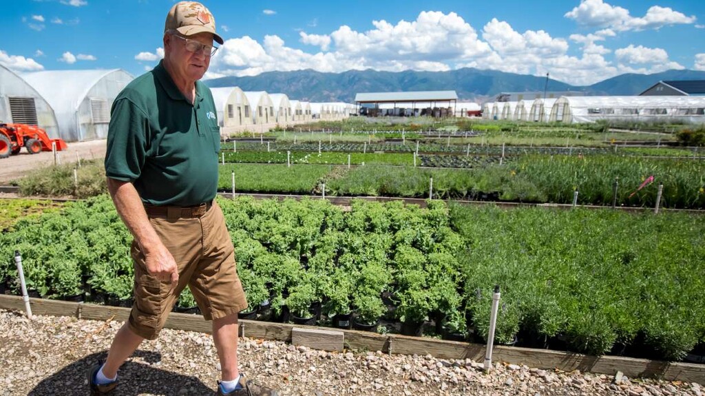 (Carter Williams | KSL.com) Preston Cox, co-founder of Perennial Favorites in Layton, provides a tour of the business's nursery on Aug. 20. The company now specializes in growing more water-wise plants for consumers across the region.