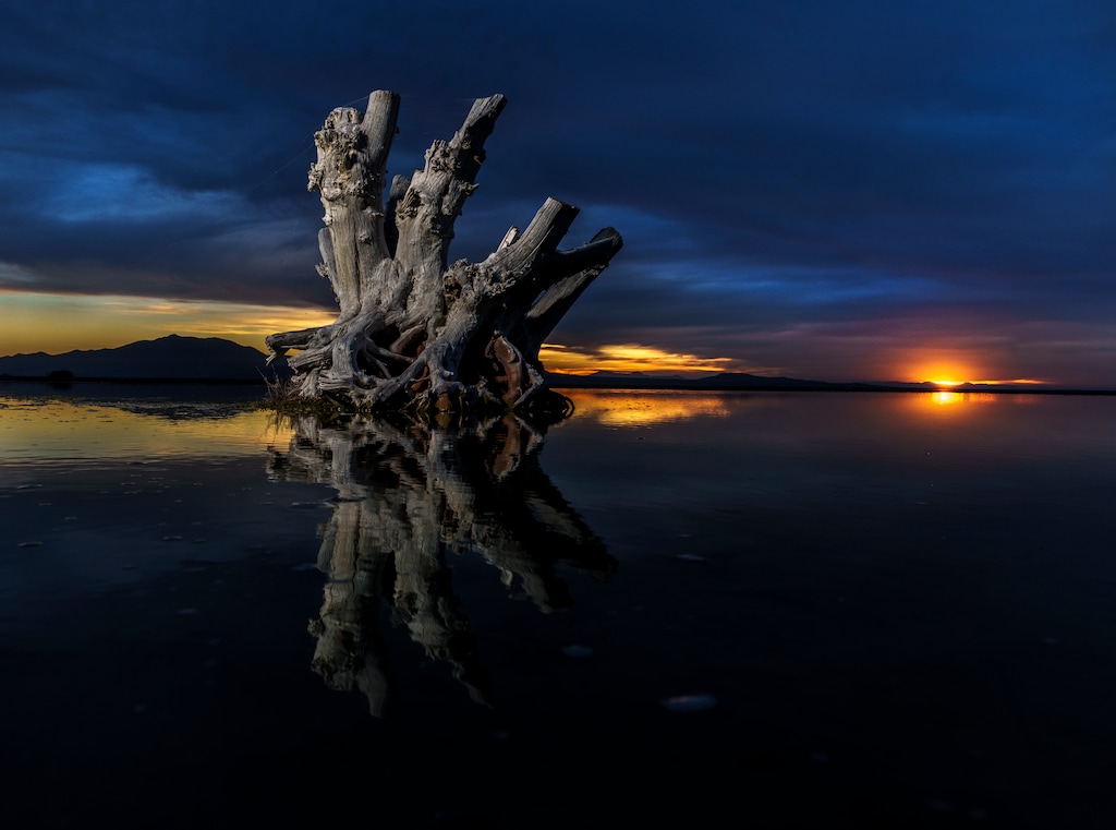 (Leah Hogsten | The Salt Lake Tribune)  The Great Salt Lake, Nov. 5, 2021 looking westward towards Antelope Island.