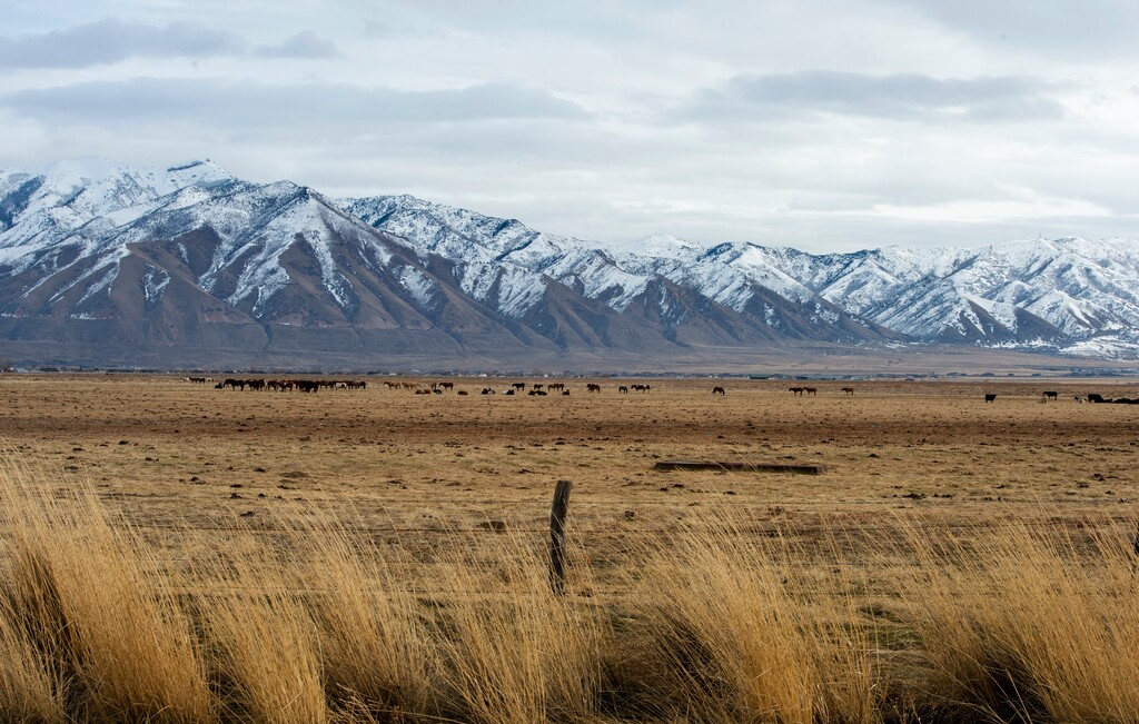 (Rick Egan  |  The Salt Lake Tribune) Tooele County on Tuesday, Jan. 28, 2020.