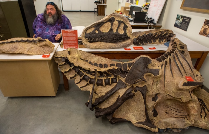 (Rick Egan | The Salt Lake Tribune) Mark Lowewen talks about the new Allosaurus Jimmadseni, during the Utah Natural History Museum DinoFest. The Museum is celebrating it's 50th anniversary in Utah to day and tomorrow, Saturday, Jan. 25, 2020.