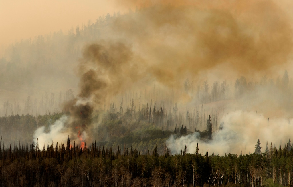 Rick Egan  |  The Salt Lake Tribune
The Brian Head fire helped to double Utah's normal cost to fight wildfires this year