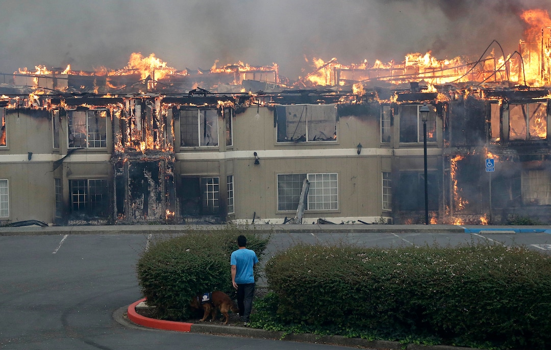 Rudy Habibe, from Puerto Rico, and his service dog Maximus walk toward a burning building at the Hilton Sonoma Wine Country hotel, where he was a guest, in Santa Rosa, Calif., Monday, Oct. 9, 2017. Wildfires whipped by powerful winds swept through Northern California sending residents on a headlong flight to safety through smoke and flames as homes burned. (AP Photo/Jeff Chiu)