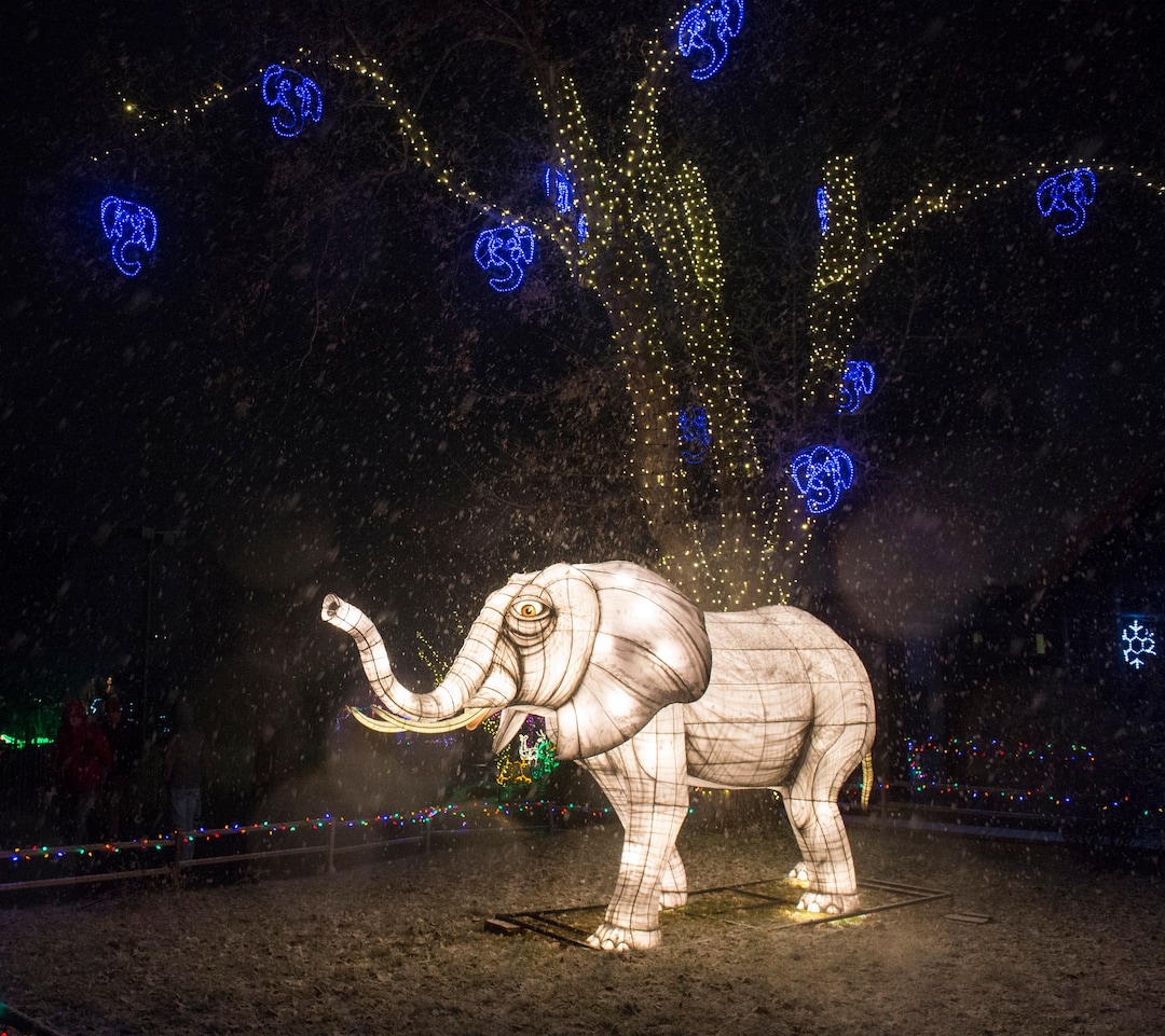 (Rick Egan  |  The Salt Lake Tribune)   An elephant lantern lights up the falling snow, as the ZooLights at Hogle Zoo are turned on, Friday, Nov. 30, 2018. The lights continue  through December 31st, 