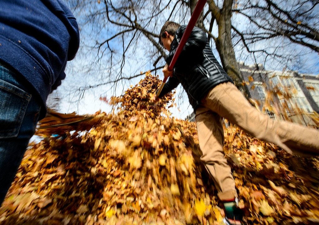 (Steve Griffin  |  The Salt Lake Tribune) McGillis School children grab rakes and gloves as they team up and head into their school's neighborhood to help neighbors with their autumn leaves.