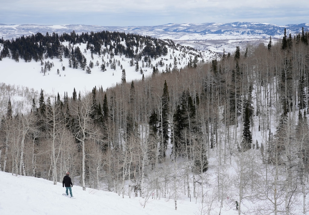 (Francisco Kjolseth  | The Salt Lake Tribune) A snowboarder makes their way down into Cobabe Canyon from the top of the private Raintree chairlift at Powder Mountain on Friday, March 21, 2025. Powder Mountain plans to remove the Sunrise Poma lift, the only mechanical link into Cobabe Canyon, after this ski season.