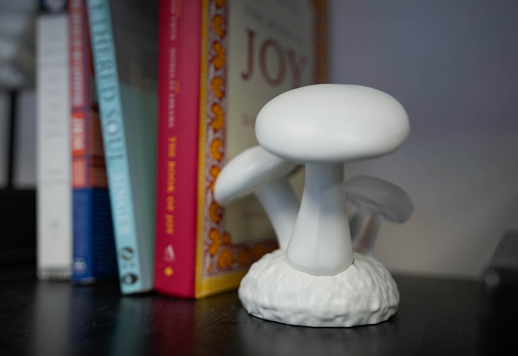 (Francisco Kjolseth | The Salt Lake Tribune) A small mushroom sculpture at Numinus Wellness Inc. illustrates the work being done at the psychedelic-assisted psychotherapy clinic in Draper.