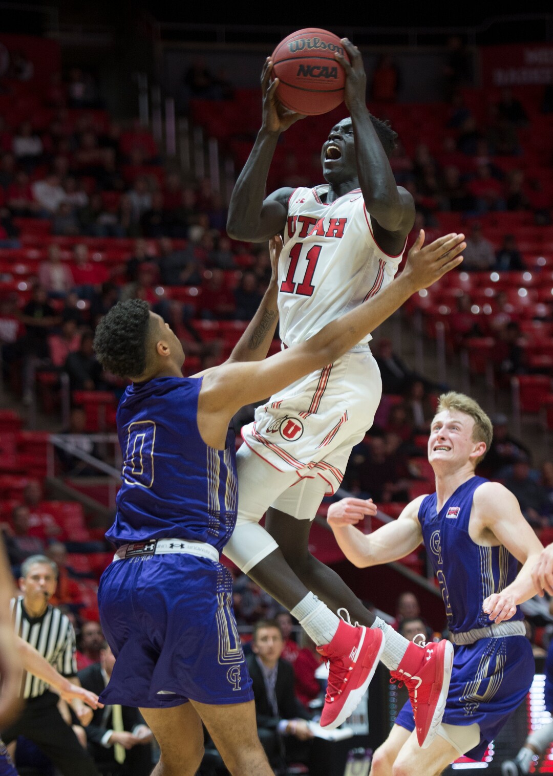 (Rick Egan  |  The Salt Lake Tribune)   Utah Utes forward Both Gach (11) goes to the hoop, as Jalen Galloway (0) College of Idaho, defends, in basketball action, between the Utah Utes and the College of Idaho Yotes at the Jon M. Huntsman Center, Thursday, Nov. 1, 2018.