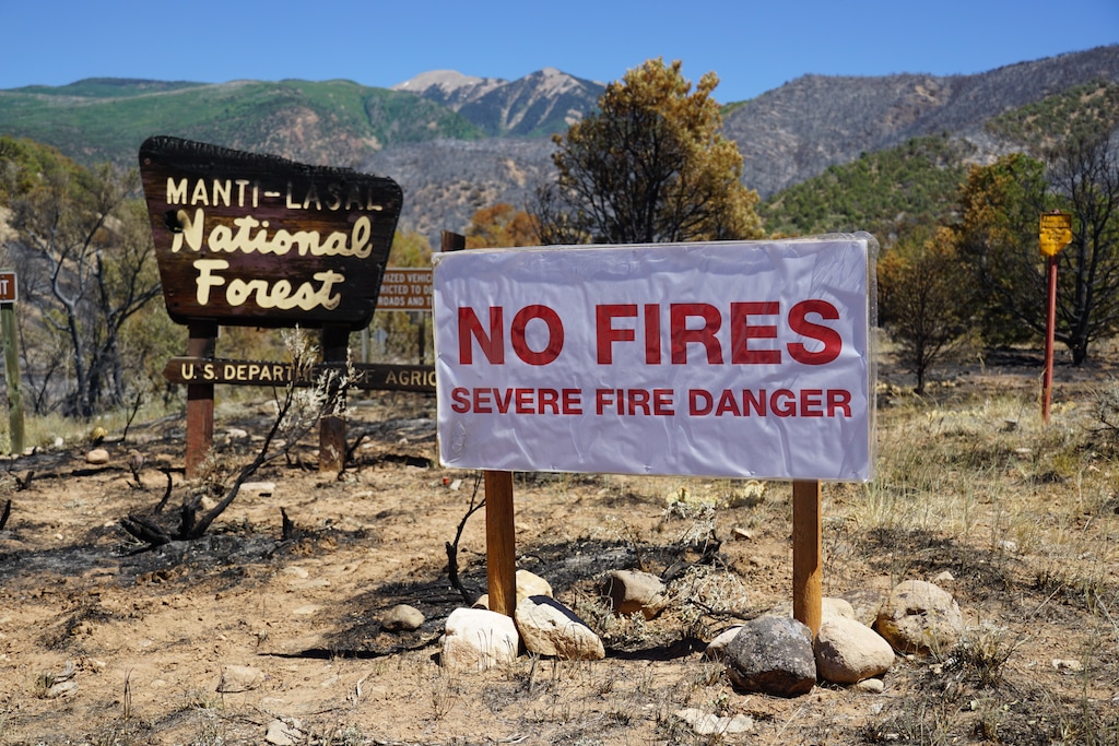 (Zak Podmore | The Salt Lake Tribune) A charred National Forest sign is left in the remnants of the Pack Creek Fire south east of Moab, June 14, 2021.