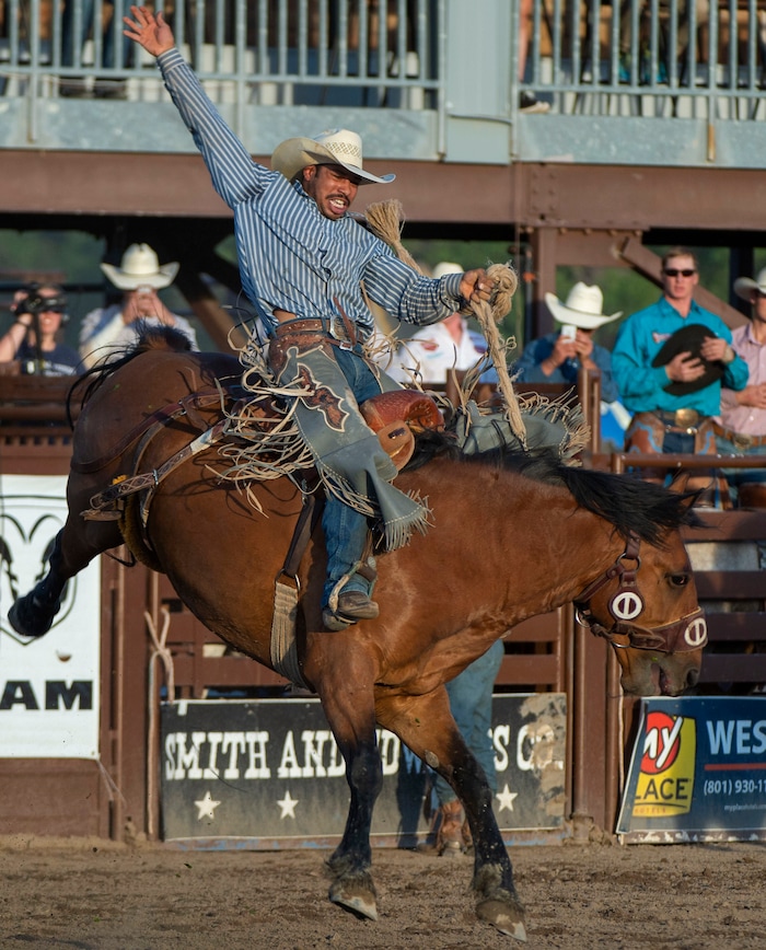 (Rick Egan  |  The Salt Lake Tribune)    Leon Fountain competes in the Saddle Bronc competition, at the West Jordan Western Stampede Rodeo, Saturday, July 6, 2019.