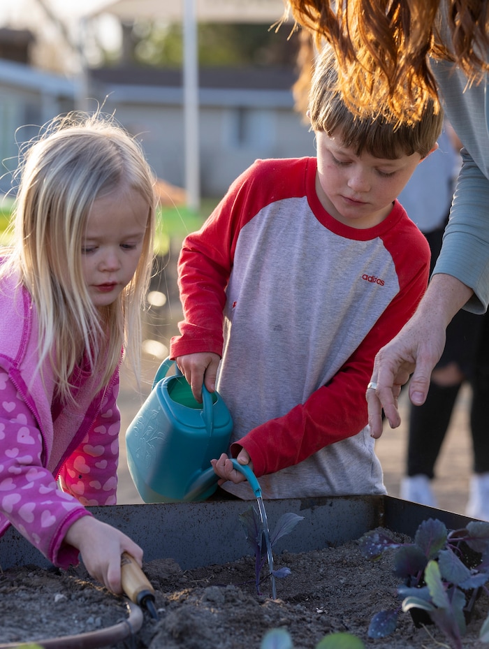 (Rick Egan | The Salt Lake Tribune)  Jennie Taylor helps her daughter Eleanor and son Jonathan plant a cabbage, during the Earth Day Party at the Mini Taylor farm at at the Jennie Taylor's residence, in North Ogden. Taylor is the widow to the late Major. Brent Taylor, killed in 2018 while on Army National Guard duty in Afghanistan, donations have helped restore the small family farm, with planter boxes, a chicken coop, and a sandbox for the kids, on Thursday, April 22, 2021.