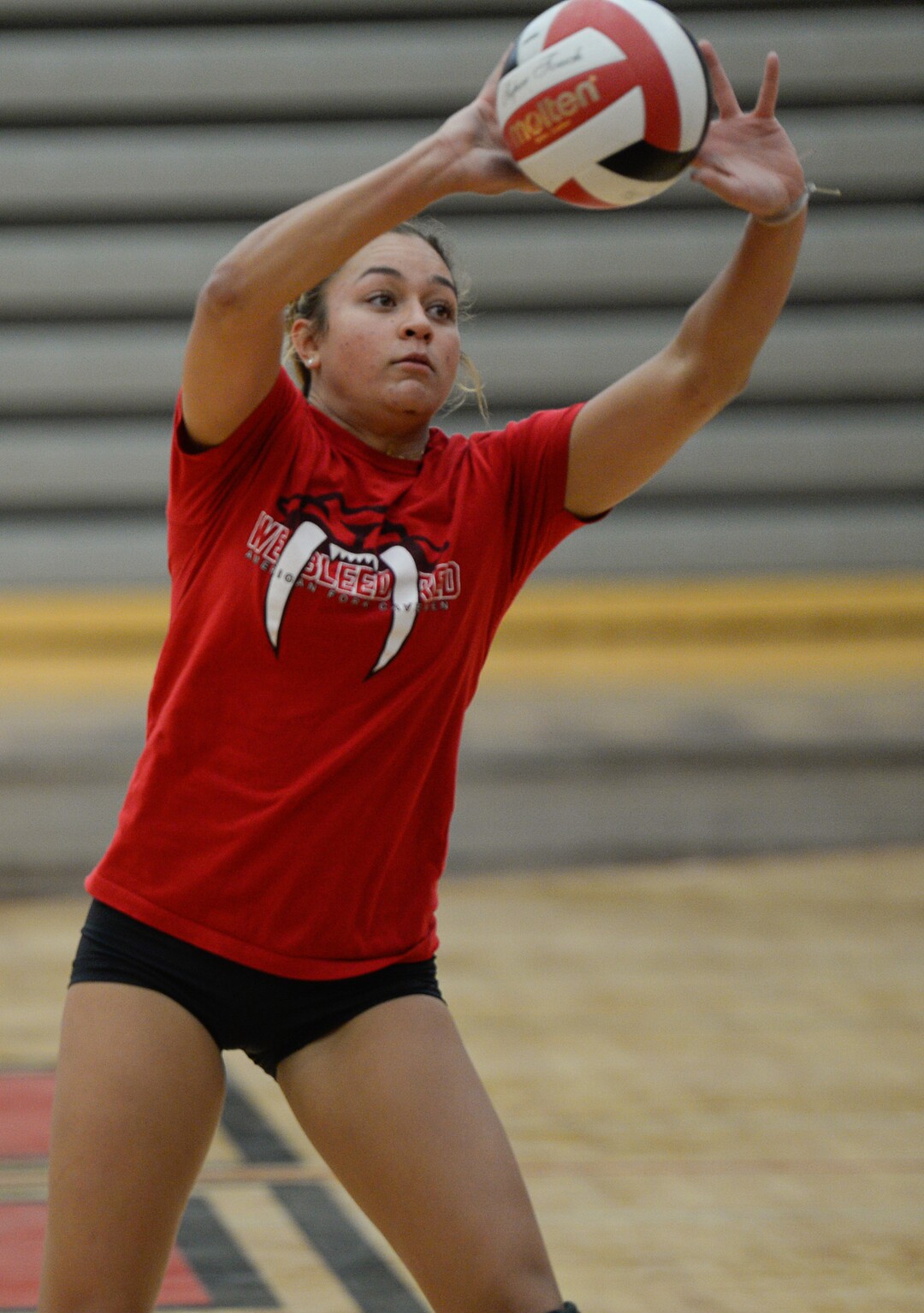 (Francisco Kjolseth  |  The Salt Lake Tribune)  American Fork setter Tayler Tausinga, one of the best setters in the state, is headed to BYU.