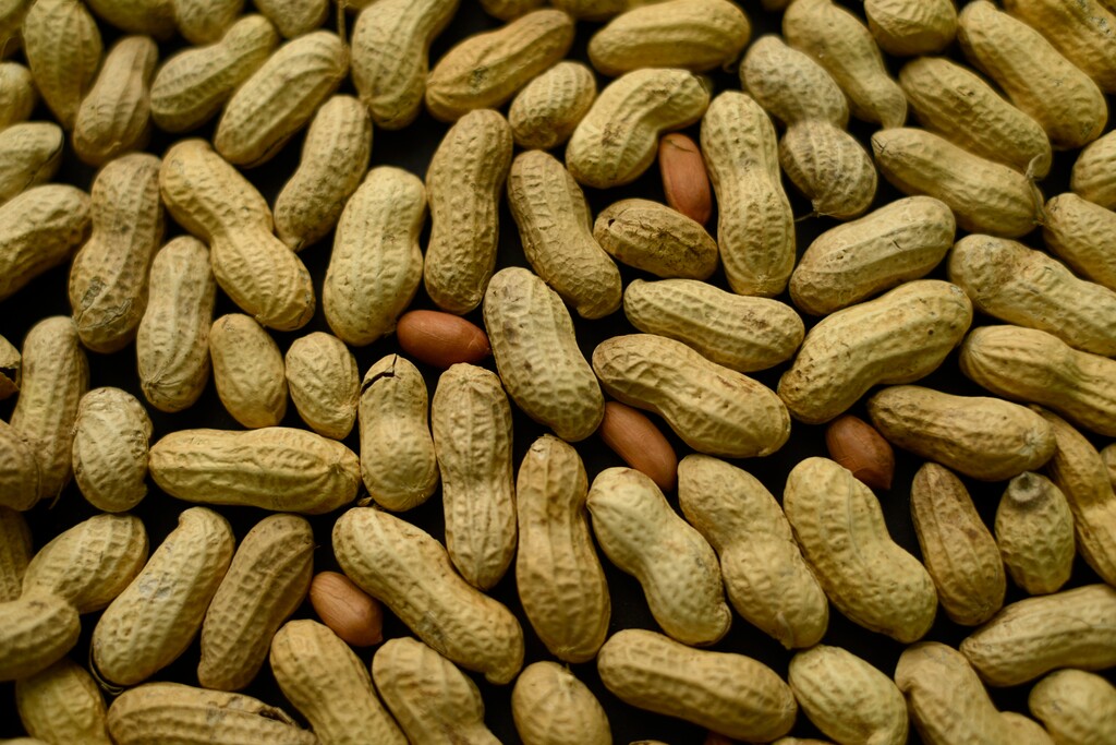 (Patrick Sison | The Associated Press) This Feb. 20, 2015, photo shows an arrangement of peanuts in New York. Food sensitivities are driving the culinary decision-making of entire operations: Rather than jury-rigging dishes to respond to special needs, chefs have engineered many menus from the start to eschew everything from soy to gluten. And most customers don't have a clue.