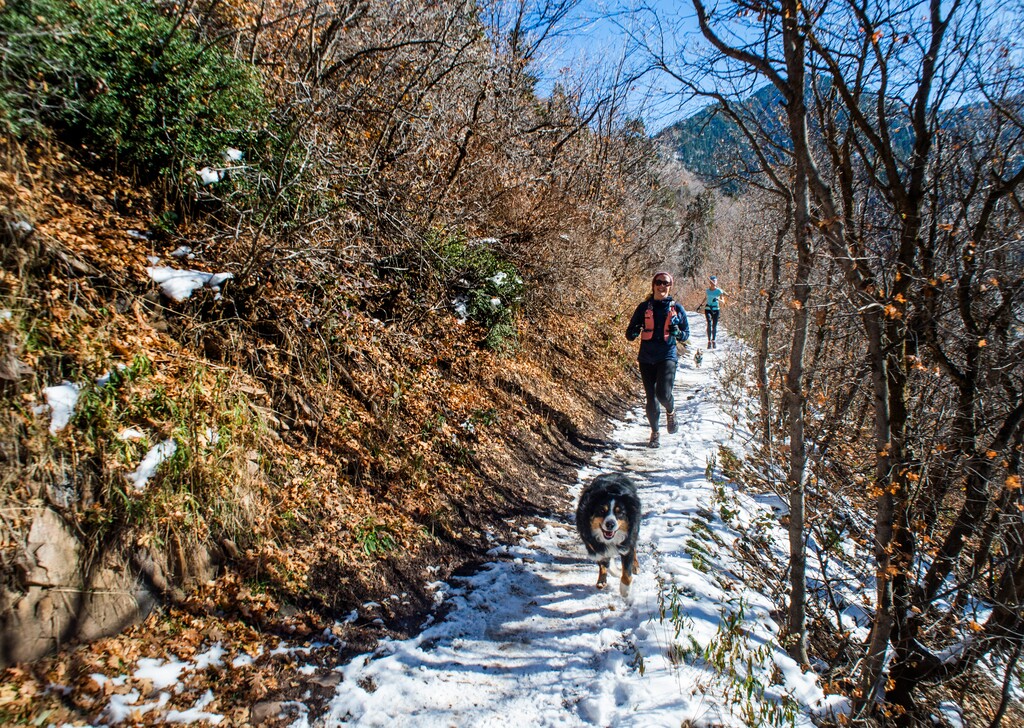 (Rick Egan | Tribune file photo) Recreationists in Mill Creek Canyon, Thursday, Oct. 31, 2019.