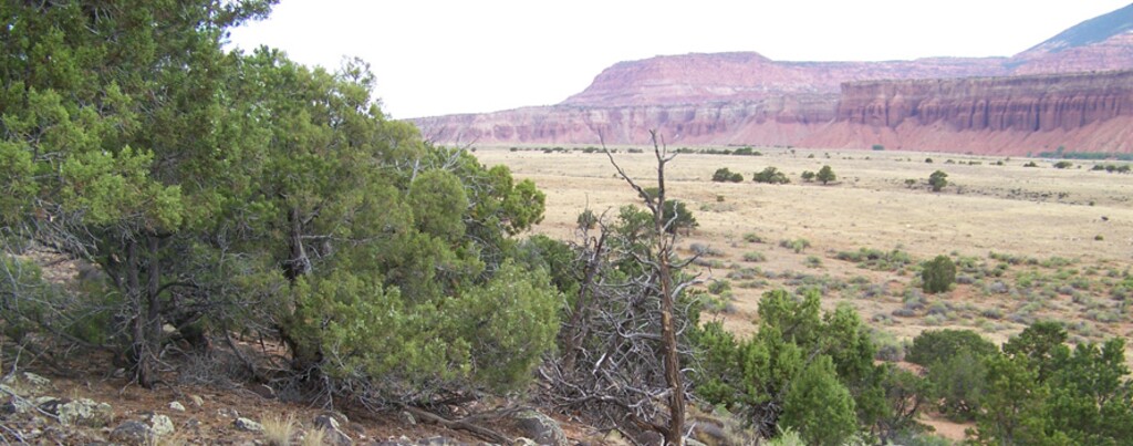 This 120-acre parcel outside Teasdale, once proposed for a gravel operation, failed to sell at auction Nov. 15 at the Salt Lake City headquarters of the Utah School and Institutional Trust Lands Administration. Other offered parcels sold for their minimum bids to their current leaseholders. Photo courtesy of SITLA.