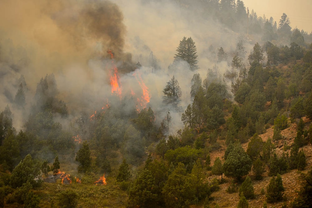 (Trent Nelson | The Salt Lake Tribune) The Coal Hollow Fire burns along Highway 6 in Utah County, Friday Aug. 10, 2018.