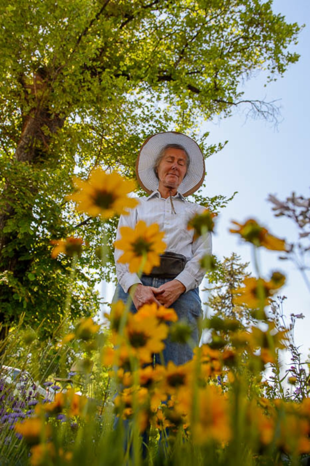 (Trent Nelson | The Salt Lake Tribune)Ruth MacAngus of Growing Empire Nursery at the opening day of the 2018 Downtown Farmers Market at Pioneer Park in Salt Lake City, Saturday June 9, 2018.