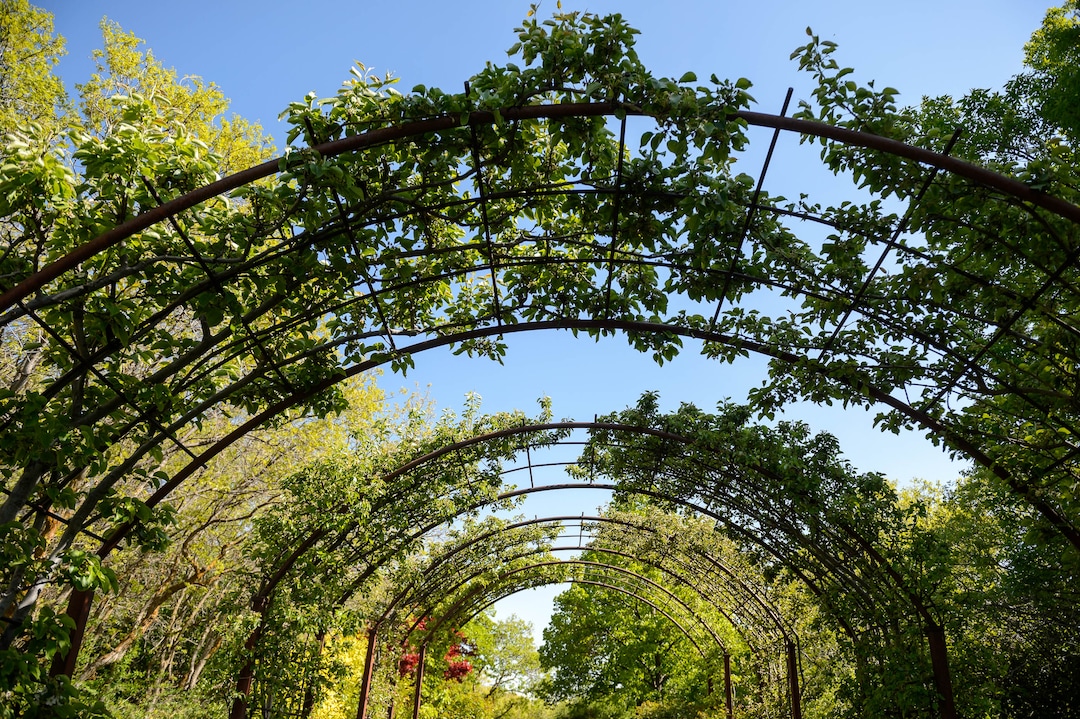 (Trent Nelson | The Salt Lake Tribune) Red Butte Garden in Salt Lake City on Wednesday, May 6, 2020.