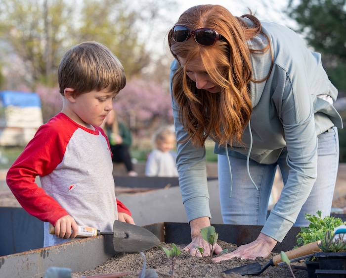 (Rick Egan | The Salt Lake Tribune) Jennie Taylor helps her son Jonathan plant a cabbage, during the Earth Day Party at the Mini Taylor farm at at the Jennie Taylor's residence, in North Ogden. Taylor is the widow to the late Major. Brent Taylor, killed in 2018 while on Army National Guard duty in Afghanistan, donations have helped restore the small family farm, with planter boxes, a chicken coop, and a sandbox for the kids, on Thursday, April 22, 2021.