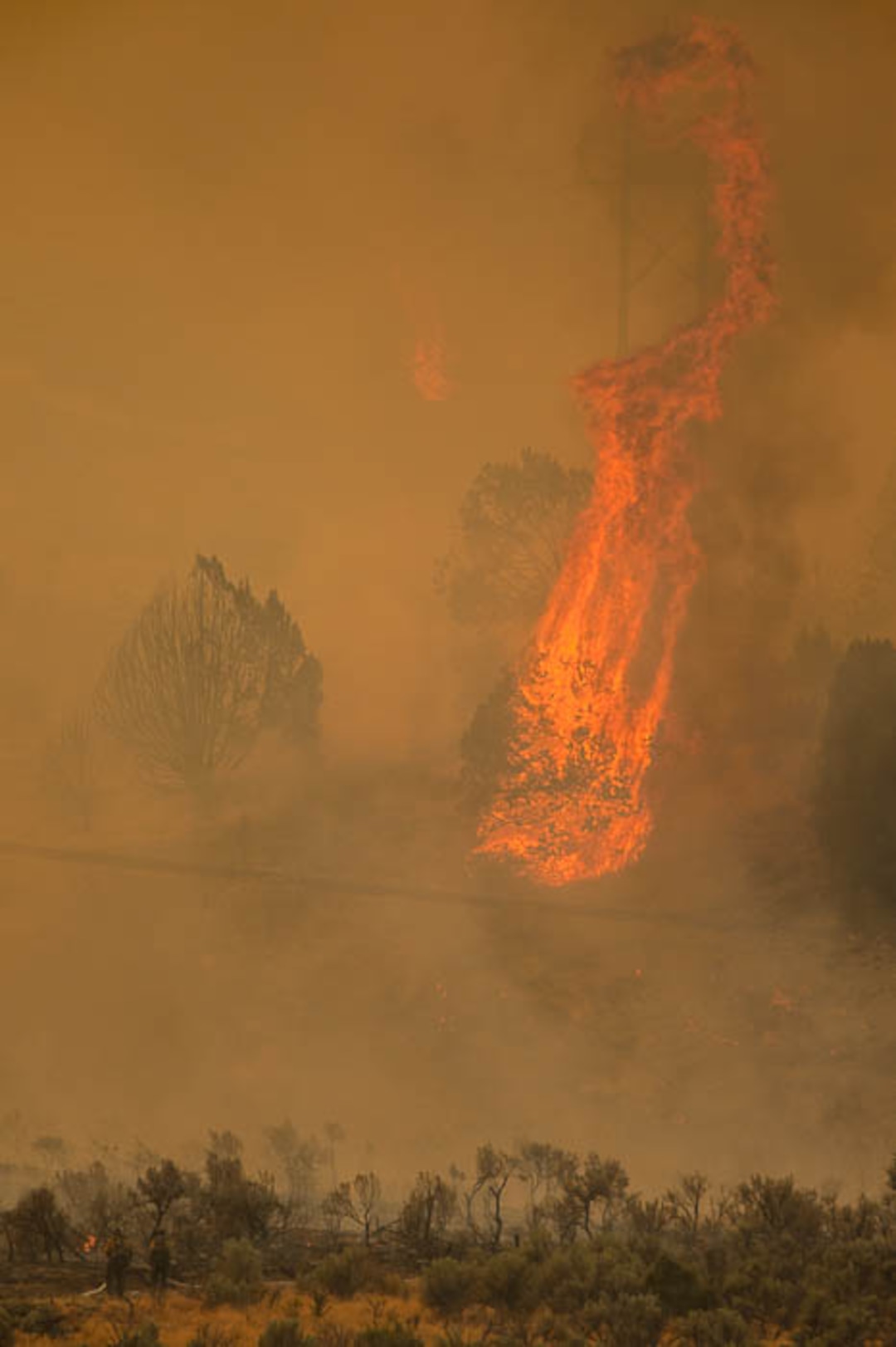 (Trent Nelson | The Salt Lake Tribune) The Coal Hollow Fire burns along Highway 6 in Utah County, Thursday Aug. 9, 2018.