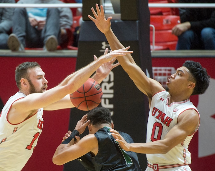 (Rick Egan  |  The Salt Lake Tribune)  Utah Utes forward David Collette (13) and Utah Utes guard Sedrick Barefield (0) knock the ball out of the hands of Hawaii Warriors guard Drew Buggs (1), in basketball action, Utah Utes vs Hawaii Warriors, at the Jon M. Huntsman Center, Saturday, December 2, 2017.
