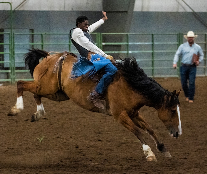 (Rick Egan | The Salt Lake Tribune) 
Kolt Bonner competes in the saddle bronc competition in the Panguitch Invitation Rodeo, on Saturday, July 23, 2022.