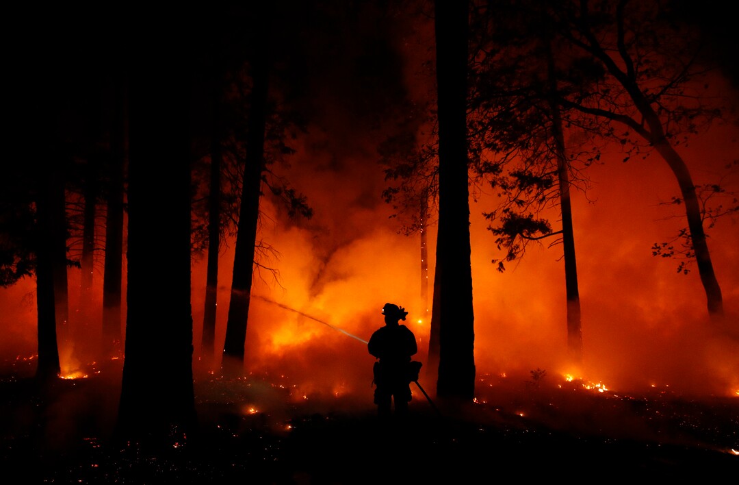 A firefighter sprays water on a controlled burn at a wildfire, Friday, Nov. 9, 2018, in Magalia, Calif. (AP Photo/John Locher)