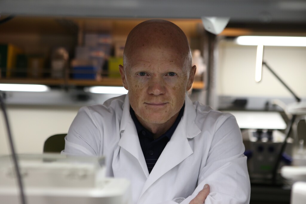 (HLTH Code) Dr Ben Bikman, PHD
