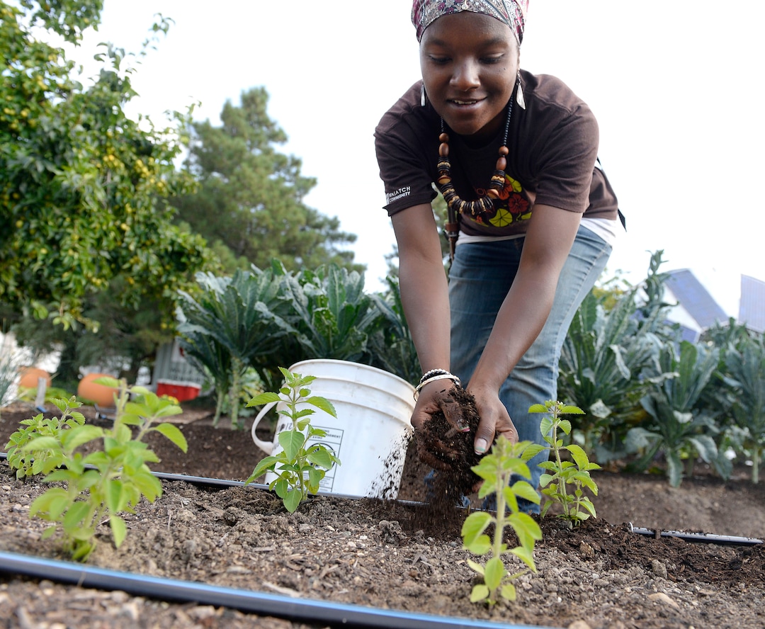 (Al Hartmann  |  The Salt Lake Tribune) Eve top dresses a row of young basil with fresh compost at the Wasatch Community Gardens' Green Team farm on Wednesday, Aug. 2. A group of homeless and formerly homeless women tend a 1.5-acre vegetable farm on land owned by the Salt Lake City's Redevelopment Agency. The women are paid as they learn about agriculture and business, and they receive a break from the stresses of their daily lives.