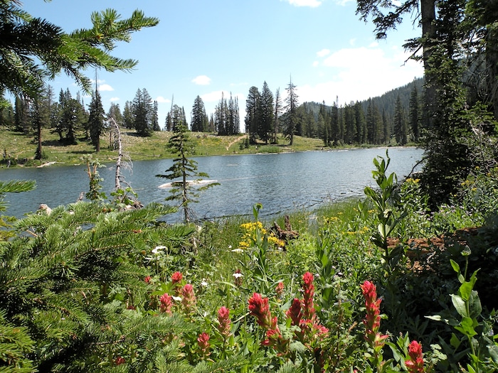 Erin Alberty | The Salt Lake Tribune
White Pine Lake glistens above Logan Canyon near Tony Grove.