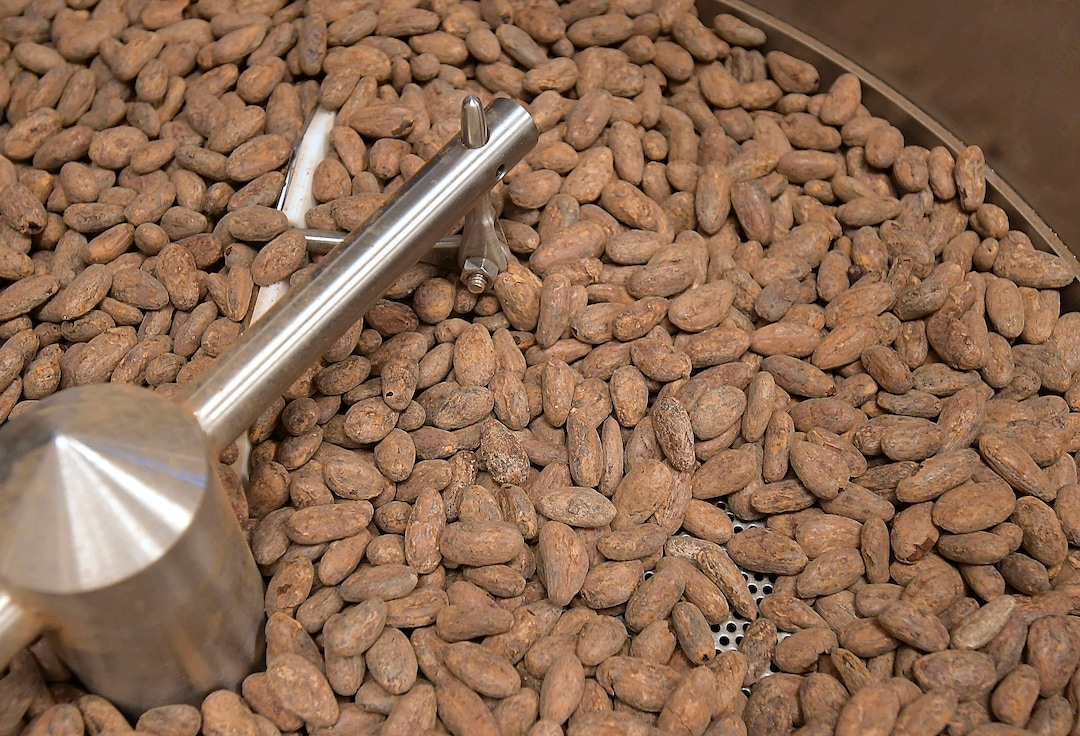(Eli Lucero  |  The Herald Journal) Cocoa beans are roasted at the Aggie Chocolate Factory on Tuesday in Logan.