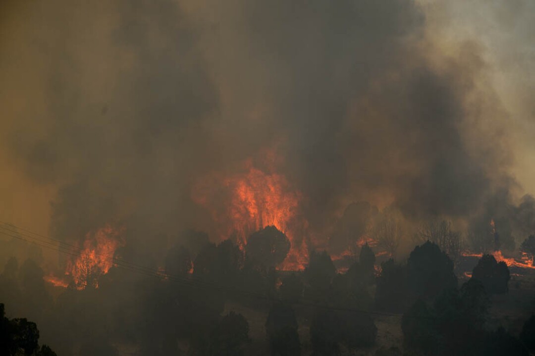 (Trent Nelson | The Salt Lake Tribune) The Coal Hollow Fire burns along Highway 6 in Utah County, Thursday Aug. 9, 2018.