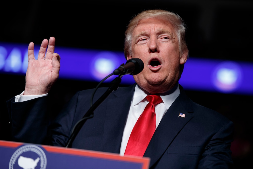 (Evan Vucci | The Associated Press) In this Thursday, Dec. 15, 2016, file photo, President-elect Donald Trump speaks during a rally at the Giant Center in Hershey, Pa. Trump's closest advisers see Democrats' complaints that Moscow hacked their private emails this election season as a case of sour grapes. The pushback comes ahead of the Electoral College vote, Monday, Dec. 19, which is expected to make official Trump's election win.