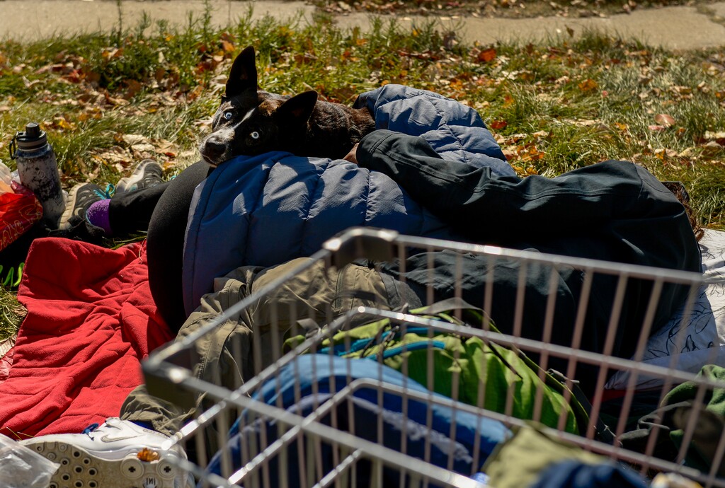 (Leah Hogsten | Tribune file photo) In this Oct. 28, 2019, file photo, a dog cuddles with its owner, catnapping in the sunshine outside The Leonardo on Salt Lake City's Library Square. The Supreme Court has been asked to rule on the question whether urban camping bans are unconstitutional.