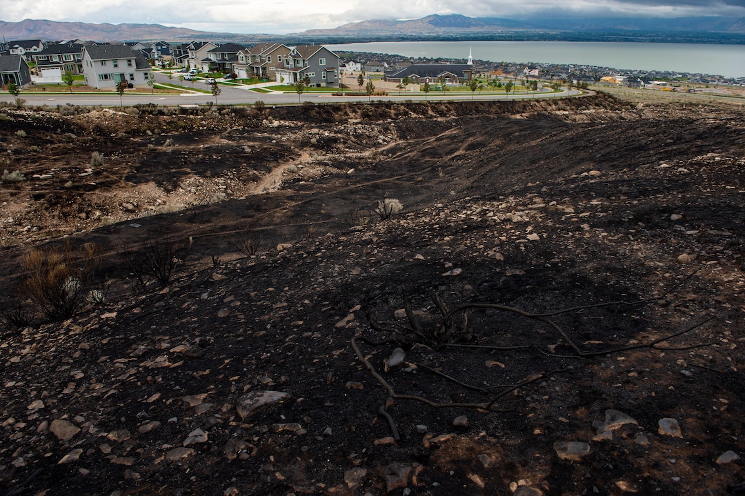 (Rick Egan  |  The Salt Lake Tribune)      The fire in Saratoga Springs burned up to the edge of South Swainston Ave,  Monday, June 29, 2020.