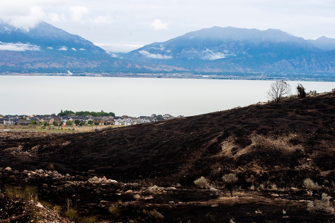 (Rick Egan  |  The Salt Lake Tribune)      The fire in Saratoga Springs burned up to the edge of South Swainston Ave,  Monday, June 29, 2020.