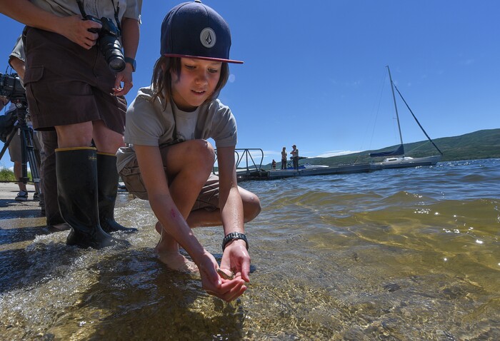 (Francisco Kjolseth | The Salt Lake Tribune) Jesse Backus, 11, holds a small splake as the Division of Wildlife Resources introduces around 40,000 of the fish, a sterile cross between lake trout and brook trout, into the Jordanelle Reservoir on Thursday, June 21, 2018. Measuring four to five inches long, splake will quickly grow and could reach adult lengths of more than two feet long as part of ongoing management plans at the reservoir that currently holds numerous other fish species.